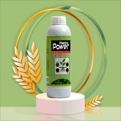 PLANTO POWER